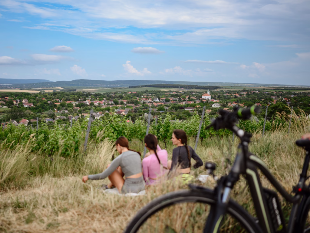 attilagunduz_20250616_1533_AG2_7025