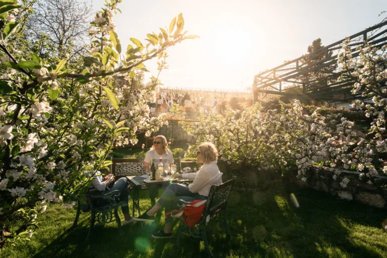 budapest környéki program
